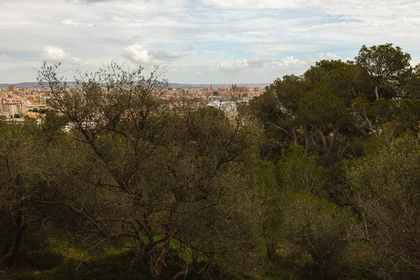 Panorama Von Palma Mallorca Mit Hafen Und Kathedrale Einem Bewölkten — Stockfoto