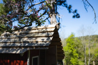 Baharda bahçede çiçek açan elma ağaçları olan çocuklar için kulübelerle oynayan kırmızı ahşap bir kulübe.