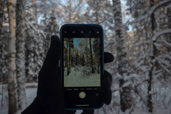 Świat Przez Ekran Telefonu Zimowy Las Syberyjski — Zdjęcie stockowe