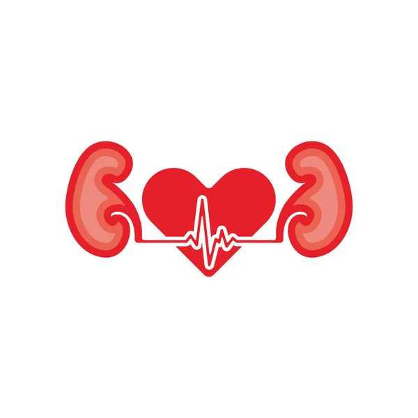 腎臓への愛の象徴. — ストックベクタ