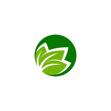 Spa ve estetik için yaprak logosu tasarım vektörleri