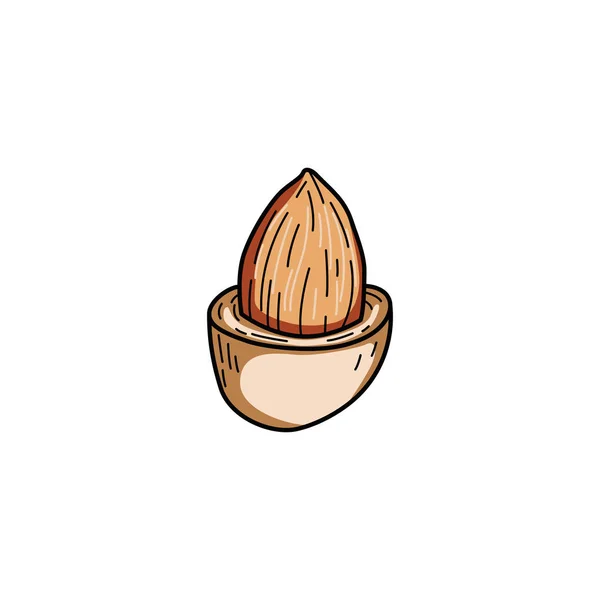 Almond Nut Logo Design Vettoriali Illustrazioni — Vettoriale Stock