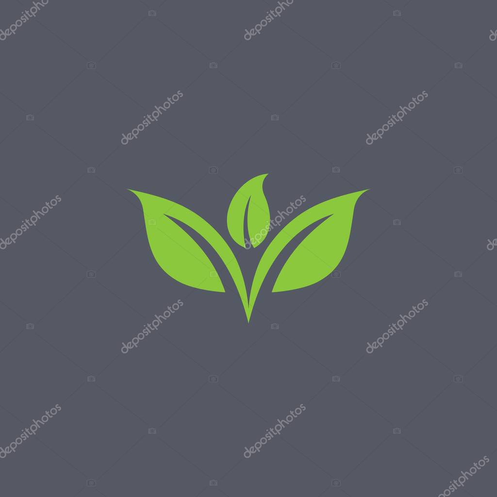 Leaf logo design template vector spa & esthetics