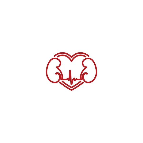 The symbol love for the kidneys V.4 — Stock Vector