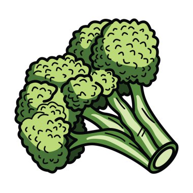 Brokoli tasarım vektör gerçekçiliği