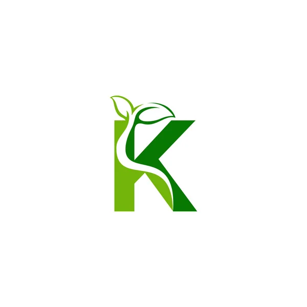 Kombination aus grünem Blatt und Anfangsbuchstaben k Logo Design vect — Stockvektor