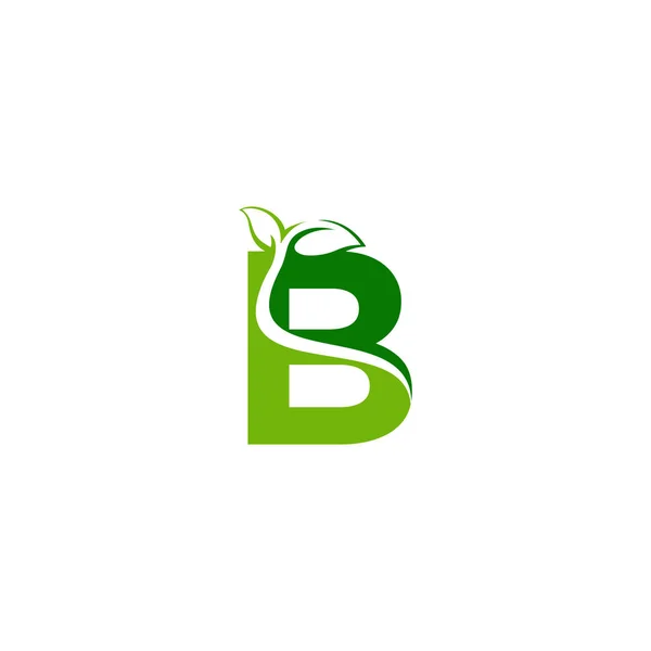 Combination of green leaf and initial letters B logo design vect 로열티 프리 스톡 벡터