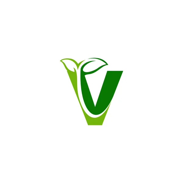 Combination of green leaf and initial letters V logo design vect 벡터 그래픽