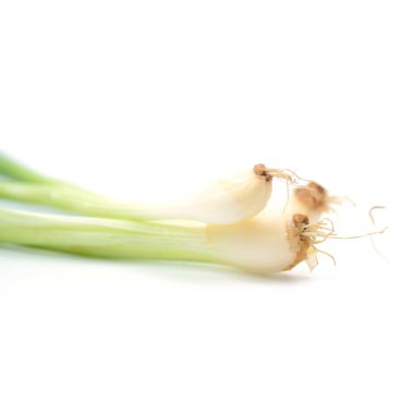 Taze soğan izole beyaz arka plan üzerinde