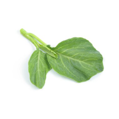 Beyaz arka plan üzerinde Çince lahana sebze, taze sebze ve ot izole