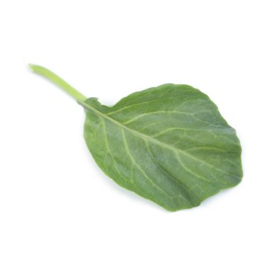 Beyaz arka plan üzerinde Çince lahana sebze, taze sebze ve ot izole