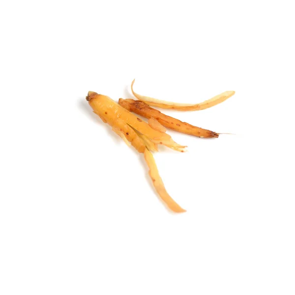 Lesser Galanga,Fresh vegetable and herb isolate on white background — Stock Photo, Image