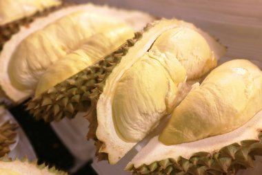 Durian Güneydoğu Asya'nın tropikal meyve