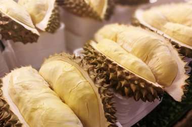 Durian Güneydoğu Asya'nın tropikal meyve