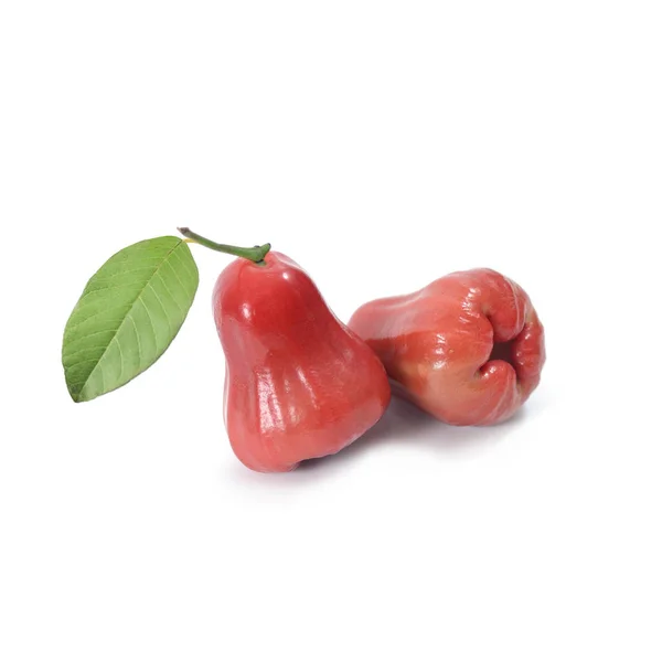 Fruta tropical; Manzana de rosa fresca aislada sobre fondo blanco —  Fotos de Stock