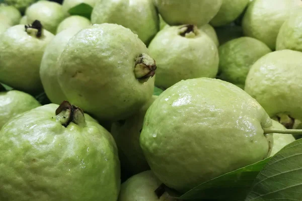 Frutas de goiaba isoladas sobre fundo branco — Fotografia de Stock