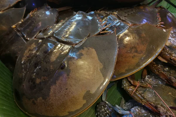 Apéritif Fruits de mer : Crabe frais en fer à cheval sur le marché — Photo