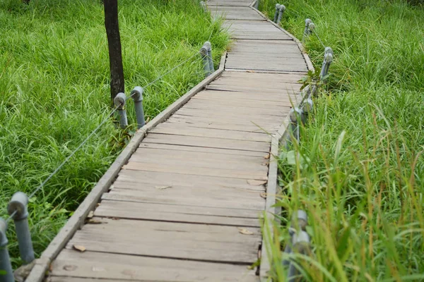 Terrasse pont en bois sur verre vert comme fond — Photo