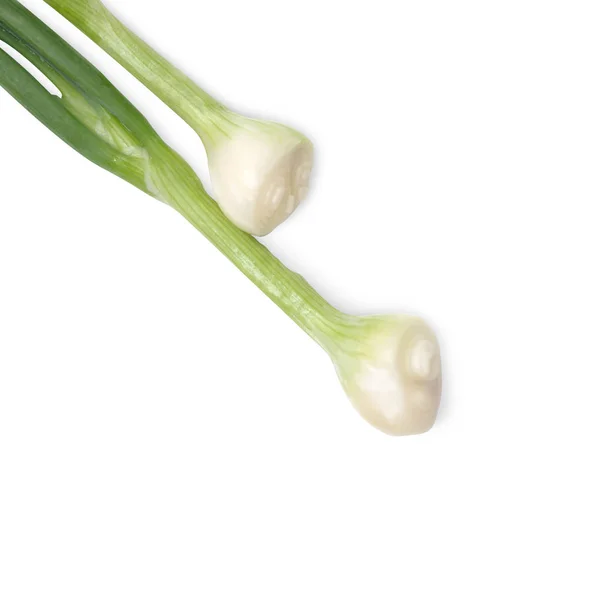 Ierburi proaspete de legume. Ceapa de primăvară izolată pe fundal alb — Fotografie, imagine de stoc