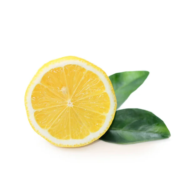 Beyaz bir arka plan üzerinde limon yaprakları ile izole — Stok fotoğraf