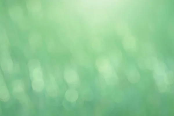 Green bokeh in morning time of natural as background — Stock Photo, Image