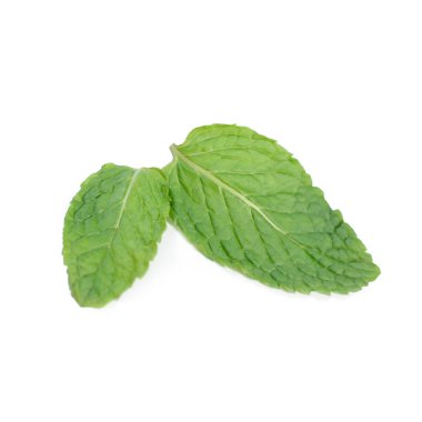 Beyaz arkaplanda izole edilmiş taze nane yaprakları