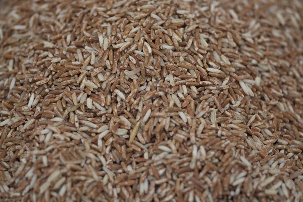 Коричневый рис или неполированный рис — стоковое фото