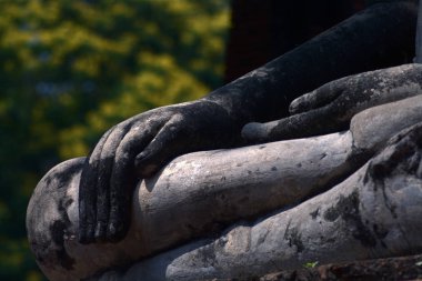 Antik el Buda Wat Phra Mahathat Ayutthaya tarihi park, Tayland