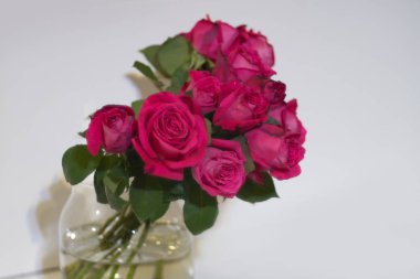 Güzel lolita lempicka çiçekleri çiçek gibi arka planda.