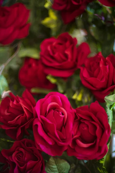 Flor de rosa artificial como fundo dos namorados — Fotografia de Stock