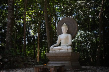 Suan Mok Phalaram Tapınağı veya Wat Su Bahçesindeki Beyaz Buda