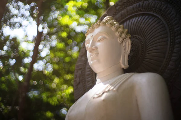 Buddha blanco en el jardín del templo de Suan Mok Phalaram o de Wat Su —  Fotos de Stock