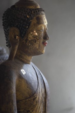 Antik Mercan Resifi Buda Devleti Tayland tapınağında halka açık bir yerde.