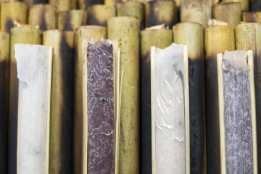 Bambuda hindistan cevizi sütüyle yapış yapış pirinç Tayland 'da ünlü tatlı.