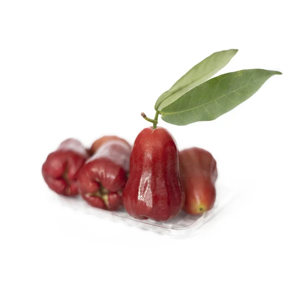 透明なトレイの上に熟した赤いバラのリンゴの果実は白い背景に隔離されます — ストック写真