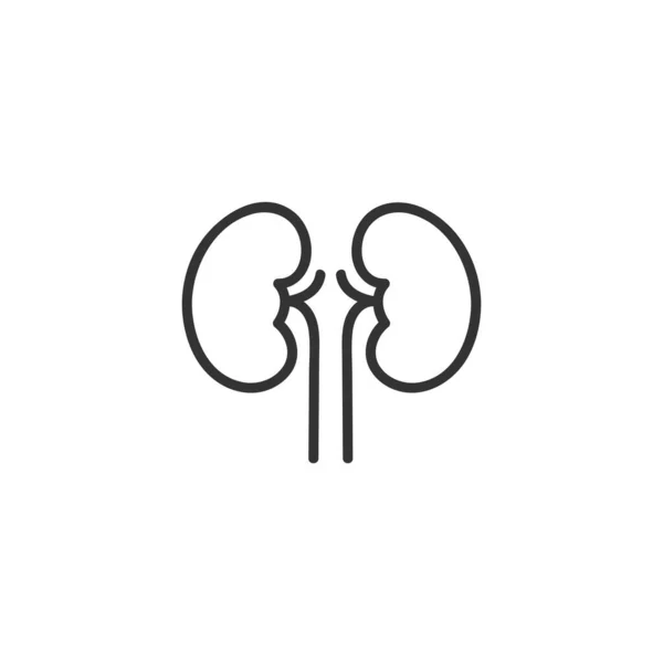 Kidneys Line Icon Simple Outline Style Design Vector Illustration — Stock Vector