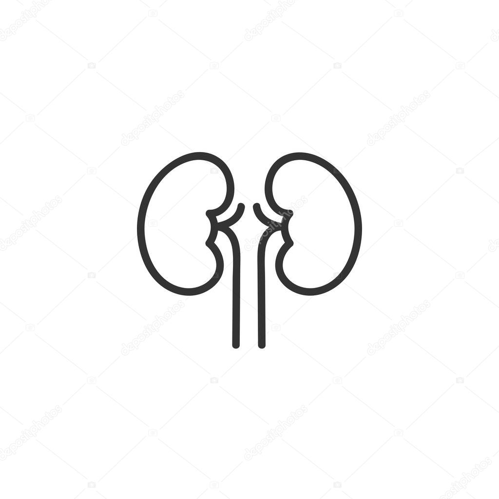 Kidneys - line icon. Simple outline style design. Vector illustration.