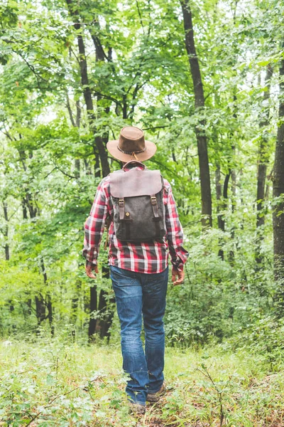 Young man starting an adventure in the forest