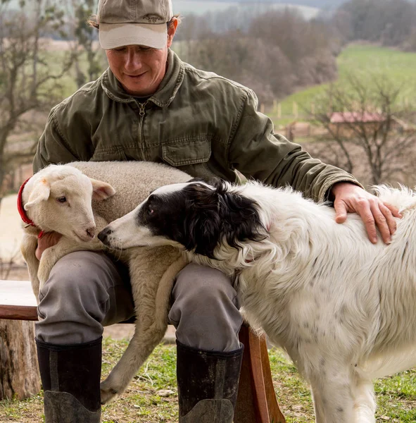 Retrato de un cordero bebé adorable en los brazos de un hombre reunirse con el perro — Foto de Stock