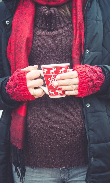 Jovem bela mulher grávida no inverno — Fotografia de Stock