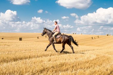 Man ride horse on field - freedom and hapiness clipart