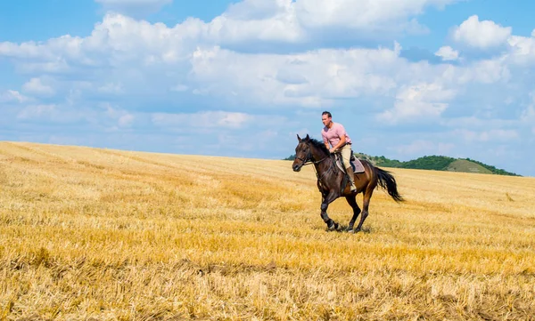 Cavallo da uomo sul campo - libertà e leggerezza — Foto Stock
