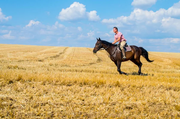 Man ride horse on field - freedom and hapiness — Stock Photo, Image