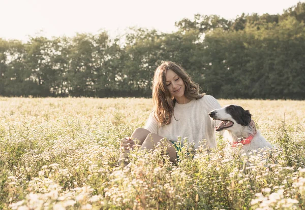 Mulher sentada com cão no campo dourado — Fotografia de Stock