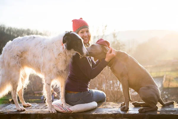 Mulher Bonita Brincando Com Cães — Fotografia de Stock