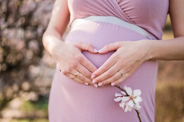 Mutter Hält Schwangerschaftsbauch Mit Liebe — Stockfoto