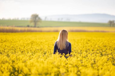 Kolza tohumu tarlasında güzel sarışın manken