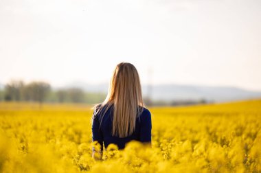 Kolza tohumu tarlasında güzel sarışın manken