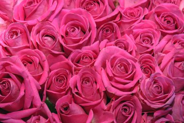 Çiçek buketlerinin arka planı. Güller. Tasarım. Kapat..