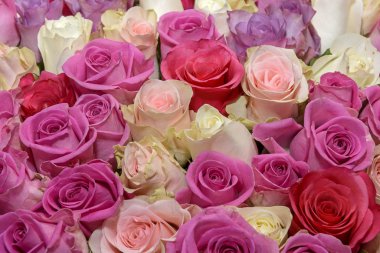 Çiçek buketlerinin arka planı. Güller. Tasarım. Kapat..